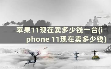 苹果11现在卖多少钱一台(iphone 11现在卖多少钱)